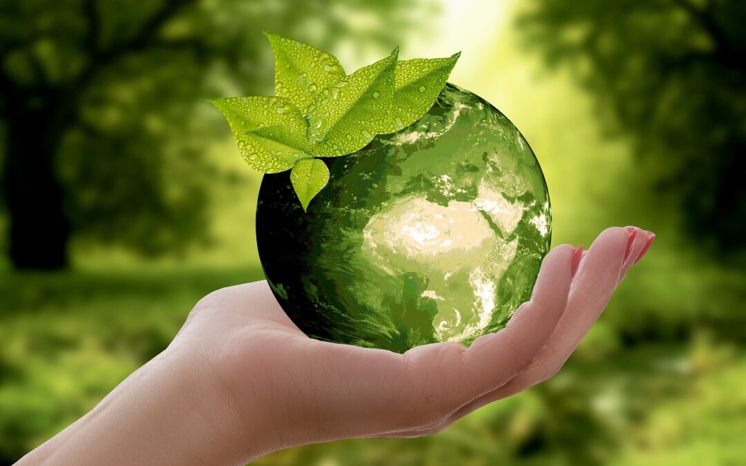 Biological Diversity Day – Bishop’s Message